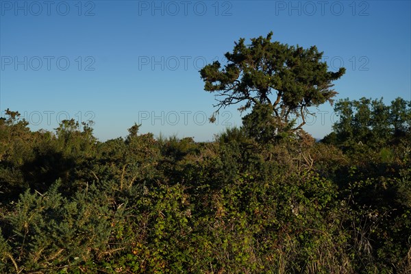 Pointe de Kermorvan, North tip of Finistère