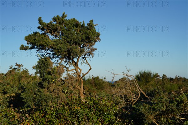 Pointe de Kermorvan, Finistère nord