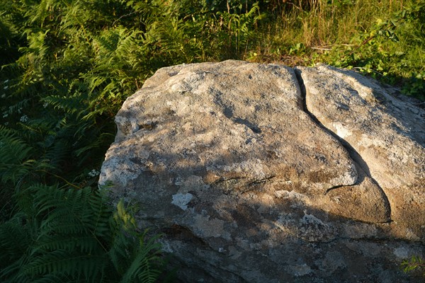 Pointe de Kermorvan, North tip of Finistère