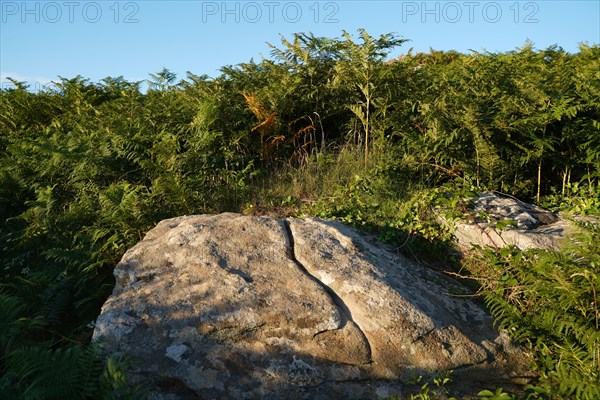 Pointe de Kermorvan, Finistère nord