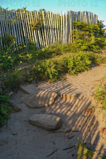 Pointe de Kermorvan, Finistère nord, protection des dunes