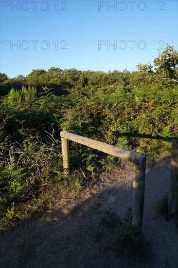 Pointe de Kermorvan, Finistère nord, GR34