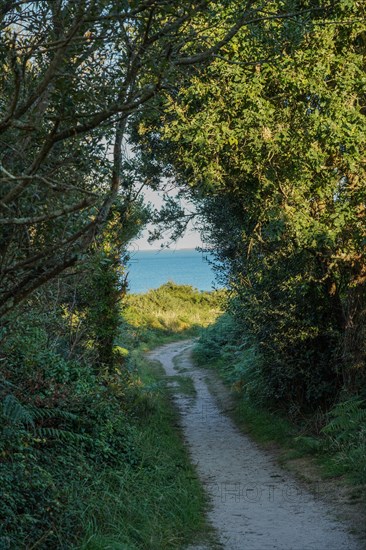 Pointe de Kermorvan, Finistère nord, GR34