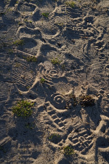 Pointe de Kermorvan, North tip of Finistère, GR34, footprints in the sand