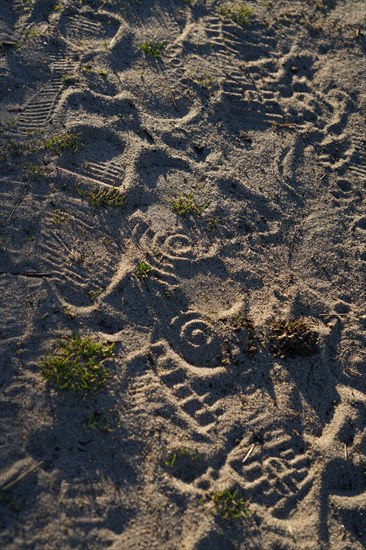 Pointe de Kermorvan, Finistère nord, GR34, traces de pas dans le sable