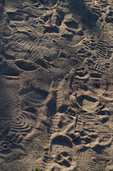 Pointe de Kermorvan, Finistère nord, GR34, traces de pas dans le sable
