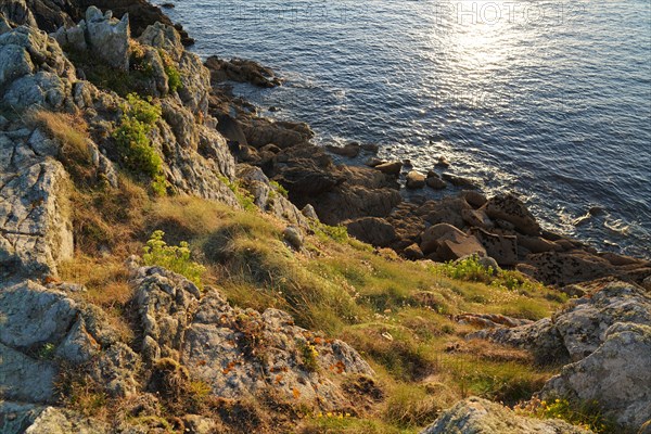 Pointe de Kermorvan, Finistère nord