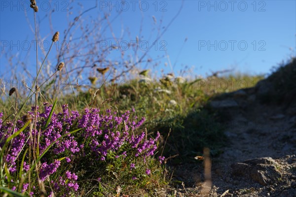 Pointe de Kermorvan, Finistère nord