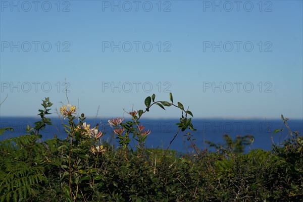 Pointe de Kermorvan, North tip of Finistère