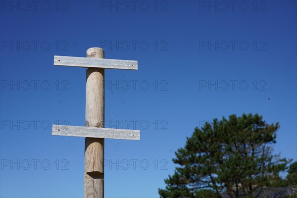 Poteau en bois pour street sign, road sign