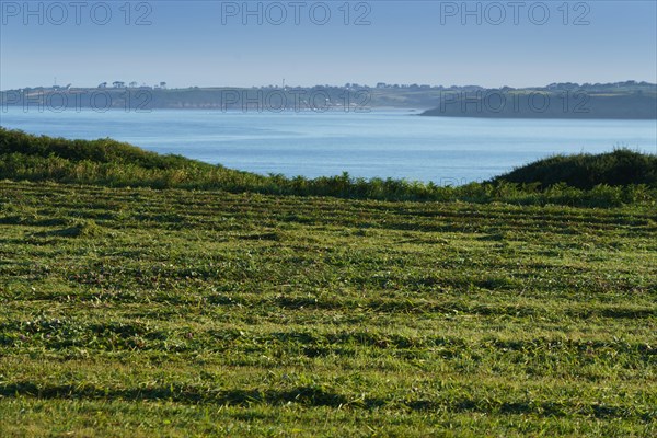 Pointe de Kermorvan, Finistère nord