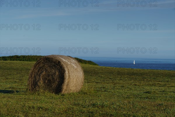 Pointe de Kermorvan, Finistère nord