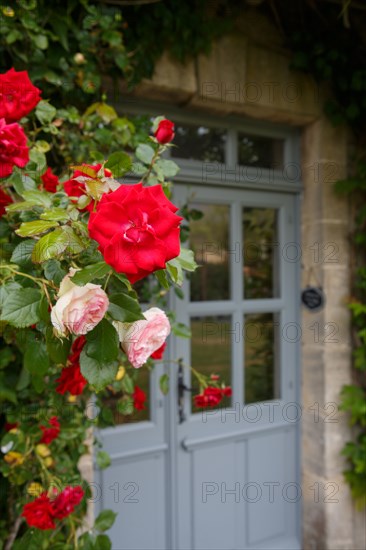 Roses et porte de maison