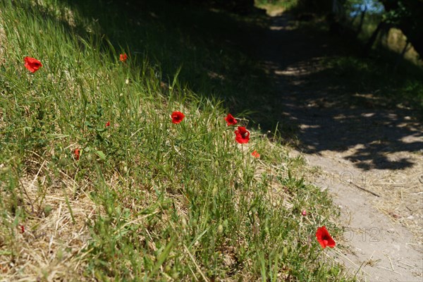 Montfort l'Amaury, Yvelines