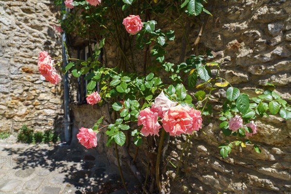 Montfort l'Amaury, Yvelines