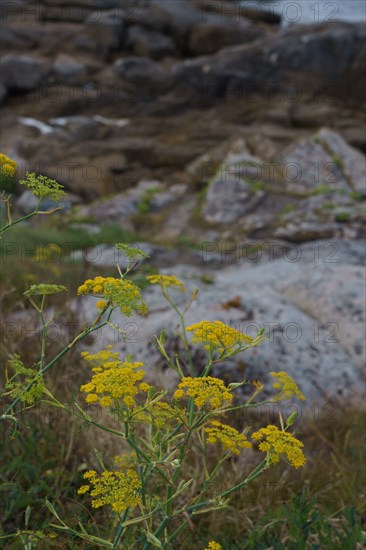 Pointe de Trévignon, Finistère sud