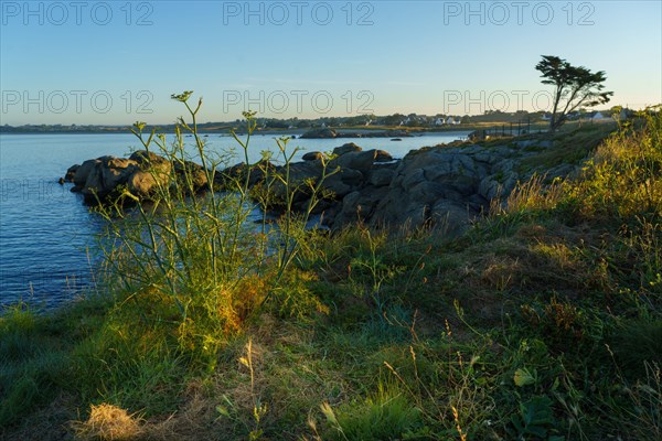 Pointe de Trévignon, South tip of Finistère