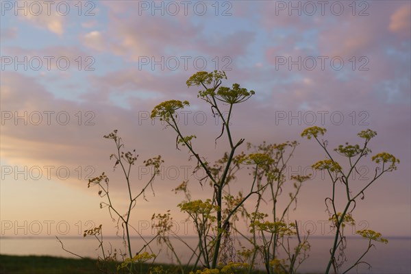 Pointe de Trévignon, Finistère sud