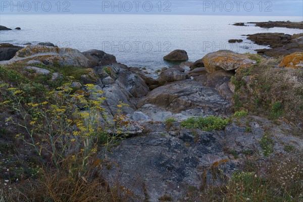 Pointe de Trévignon, Finistère sud