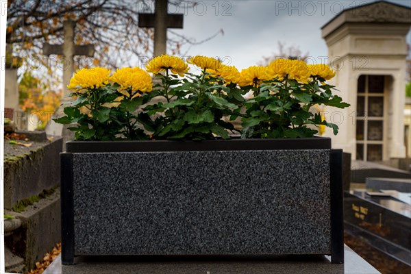 Paris, cimetière du Montparnasse à la Toussaint