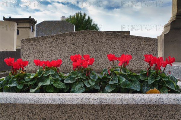 Paris, Montparnasse Cemetery at All Saints' Day