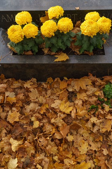 Paris, Montparnasse Cemetery at All Saints' Day