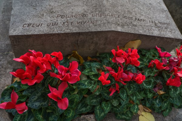 Paris, cimetière du Montparnasse à la Toussaint