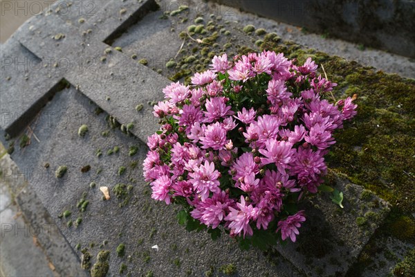 Paris, Montparnasse Cemetery at All Saints' Day