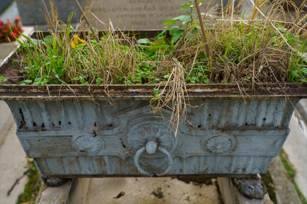 Paris, Montparnasse Cemetery at All Saints' Day