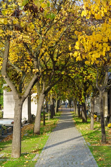 Paris, Montparnasse Cemetery at All Saints' Day