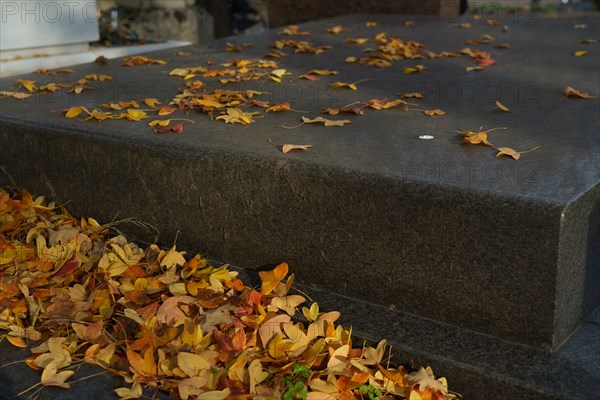 Paris, Montparnasse Cemetery at All Saints' Day