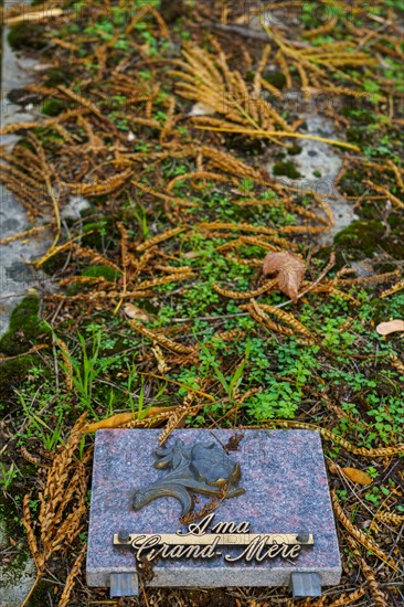 Paris, Montparnasse Cemetery at All Saints' Day