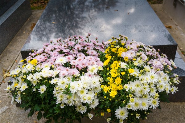 Paris, cimetière du Montparnasse à la Toussaint