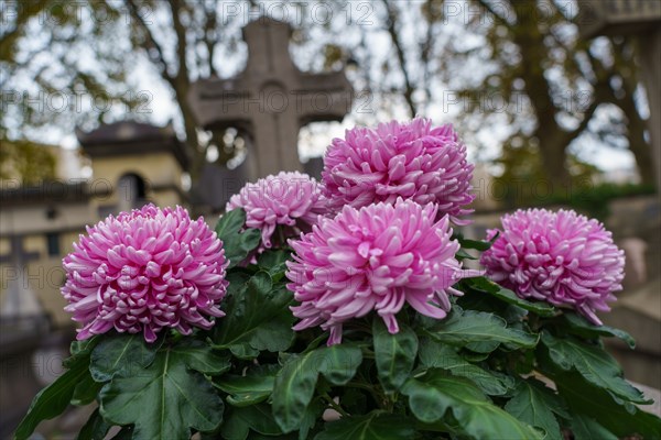 Paris, Montparnasse Cemetery at All Saints' Day