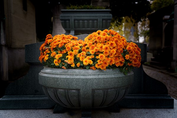 Paris, cimetière du Montparnasse à la Toussaint