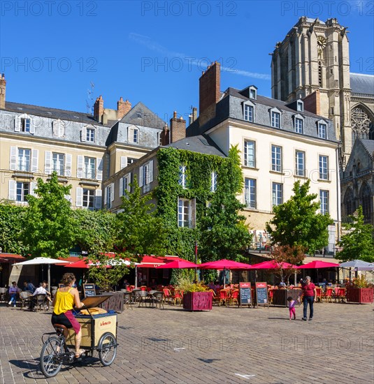 Cathedrale Saint-Julien, Le Mans