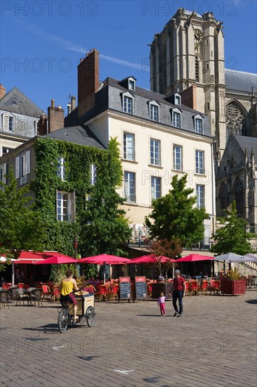 Cathedrale Saint-Julien, Le Mans