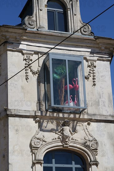 Bow window with flamingos, Le Mans