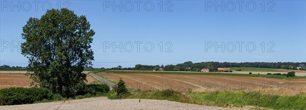 Longueil (Seine-Maritime)