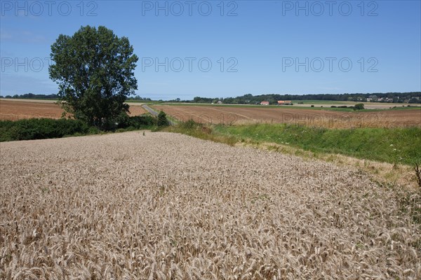 Longueil (Seine-Maritime)