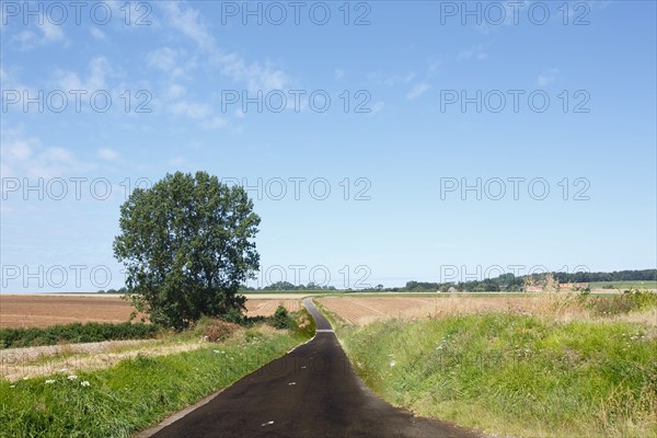 Longueil (Seine-Maritime)