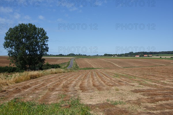 Longueil (Seine-Maritime)