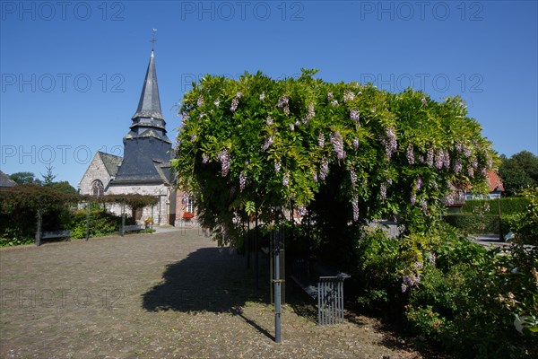 Ambrumesnil (Seine-Maritime)