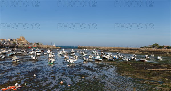Barfleur (Manche)