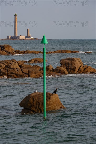 Barfleur (Manche department)