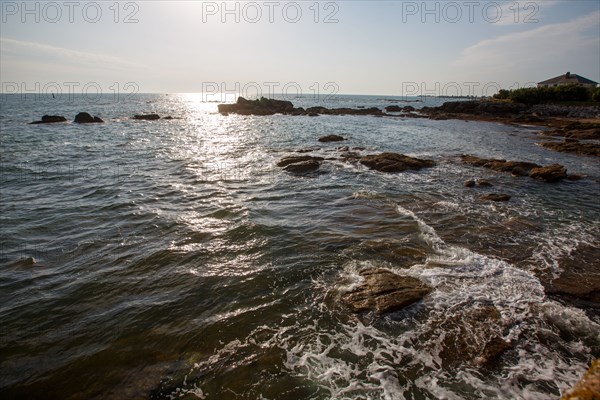 Barfleur (Manche department)