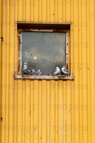 Boulogne-sur-Mer (Pas-de-Calais)