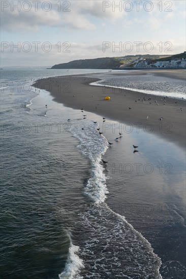 Boulogne-sur-Mer (Pas-de-Calais)