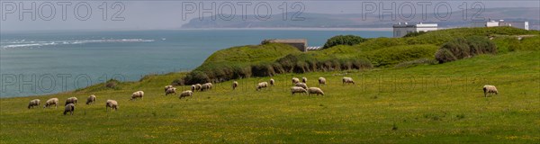 Cap Blanc-Nez (Pas-de-Calais)