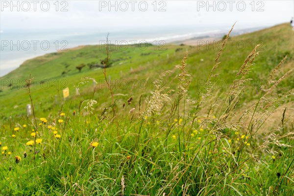 Cap Blanc-Nez (Pas-de-Calais)